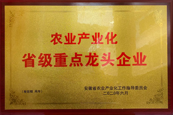 2020.6省級(jí)龍頭企業(yè)