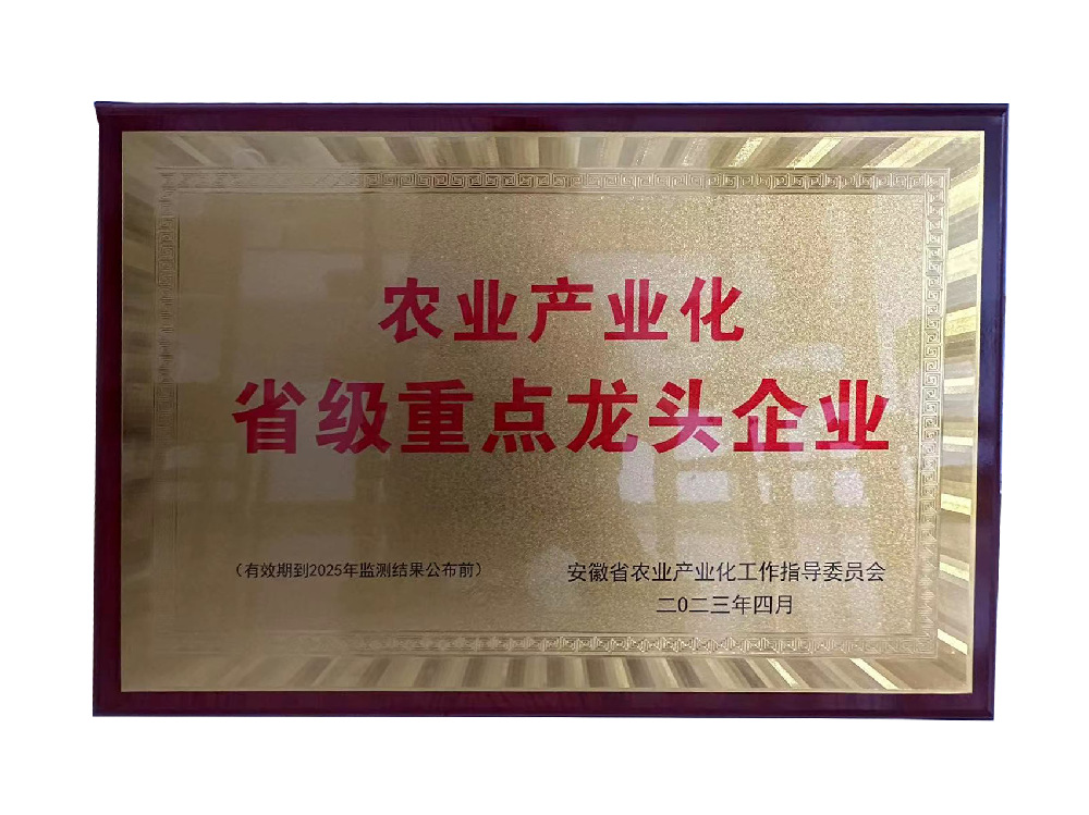 2023省級(jí)重點(diǎn)龍頭企業(yè)