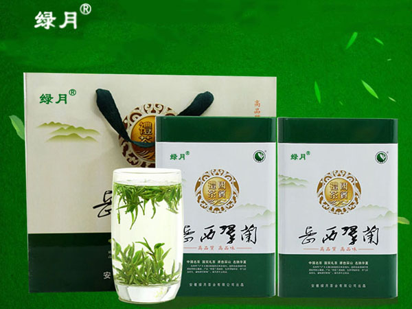 岳西翠蘭500克禮品盒裝